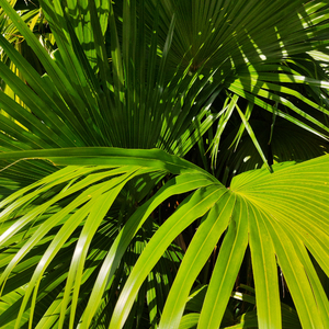 肛交一区二区三区
